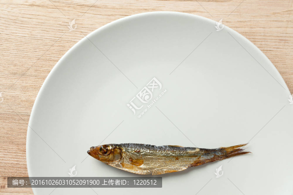 鯡魚在板