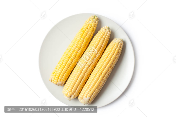 黃色的玉米