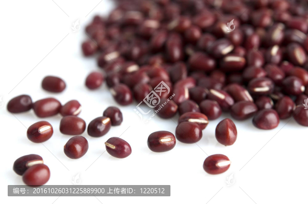 紅小豆