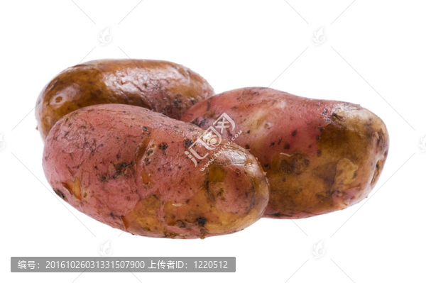 土豆特寫