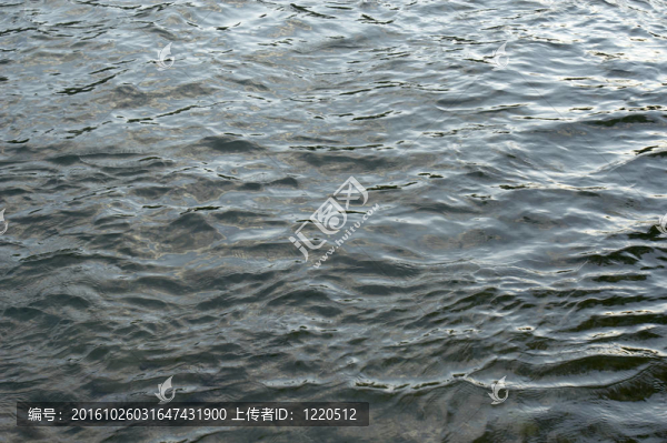 河水新