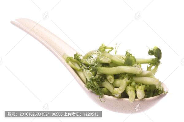 勺子上的豆芽分離