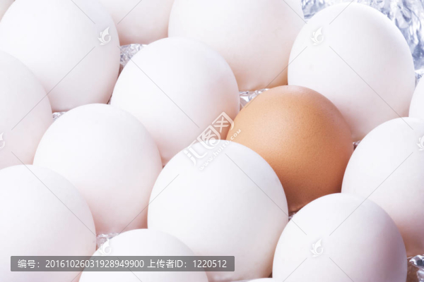 鴨雞蛋