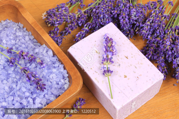 薰衣草SPA