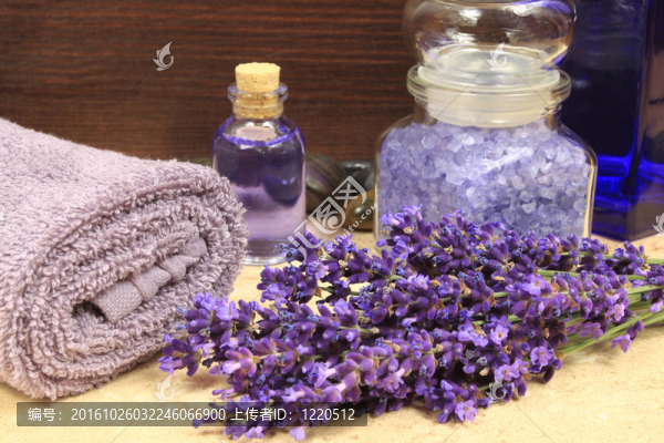 薰衣草SPA