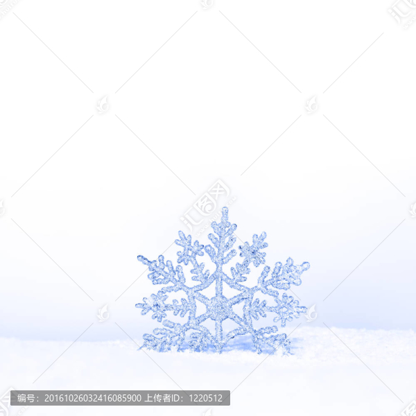 美麗的雪花
