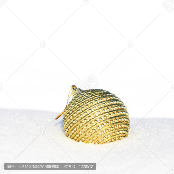 玩具在雪