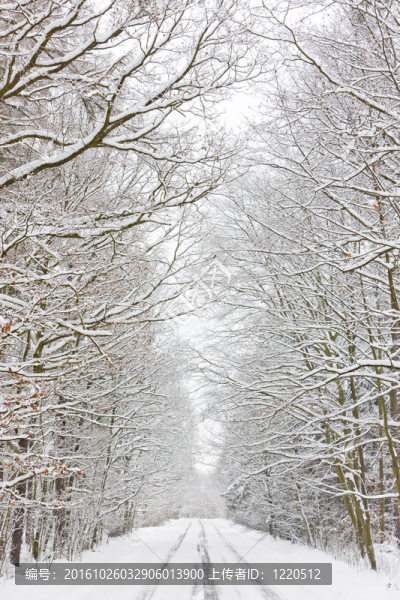 雪道；捷克共和國