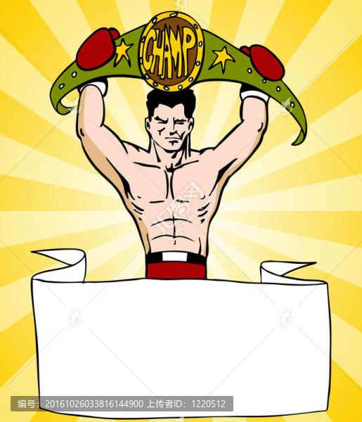 冠軍Boxer與標志