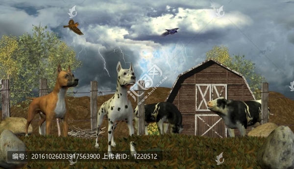 風(fēng)暴在距離