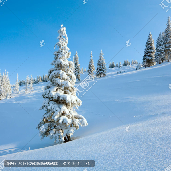 雪景