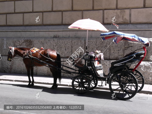 西西里的車拉的馬