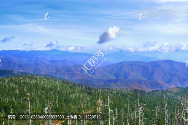 大霧山；美國
