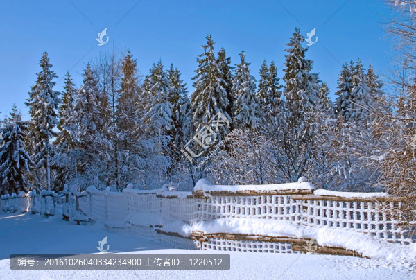 冰雪籬笆的冬季景觀