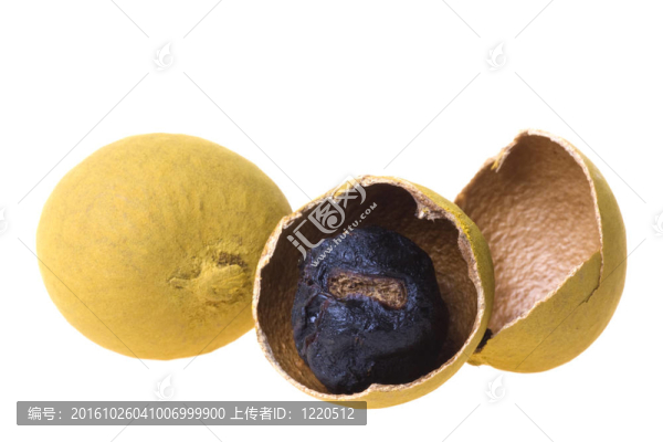 桂圓分離