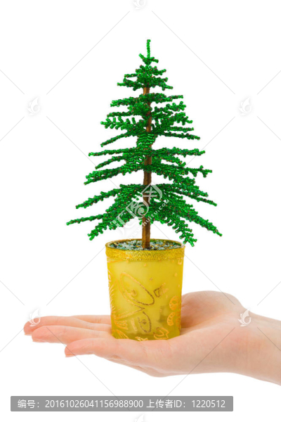 手裝飾圣誕樹