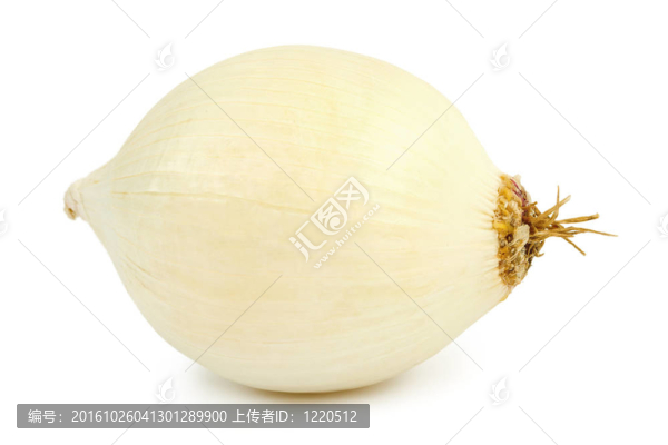蔥