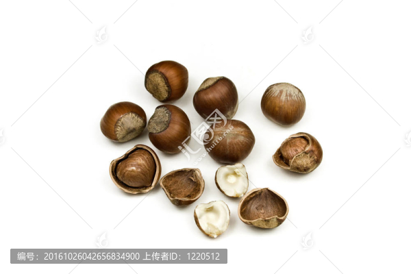 榛子