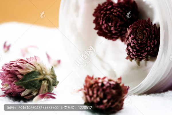 SPA要點(diǎn)