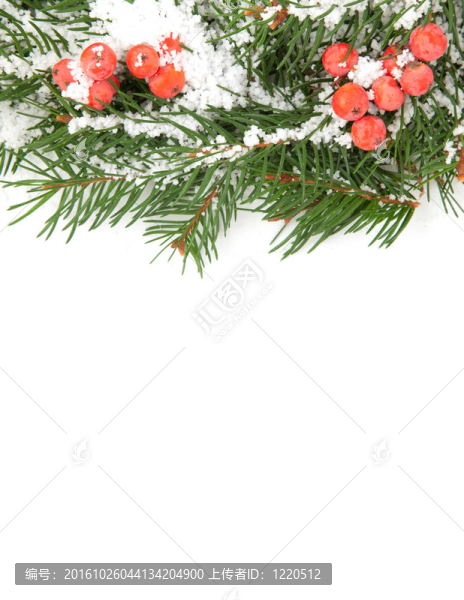 雪的圣誕框架