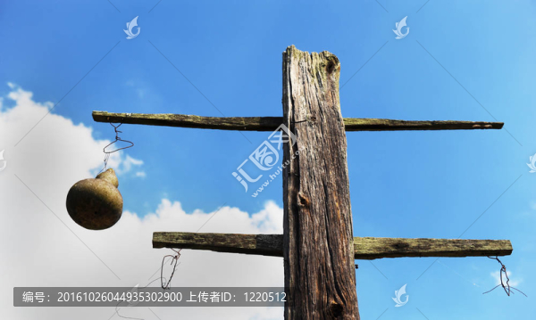 禽舍葫蘆