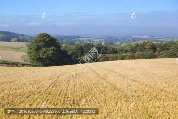 英國(guó)風(fēng)景