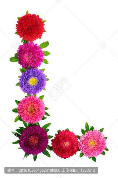 花的字母