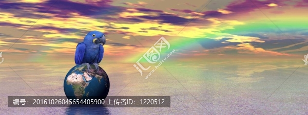 景觀和鸚鵡
