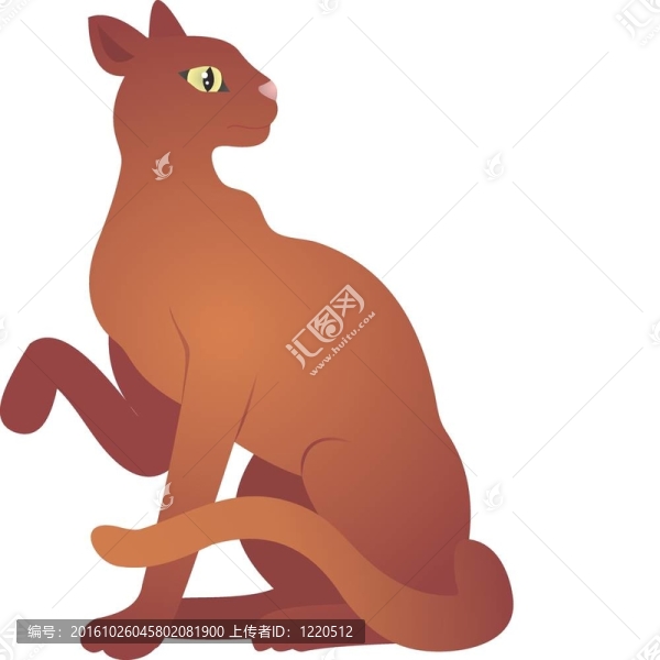 貓的載體