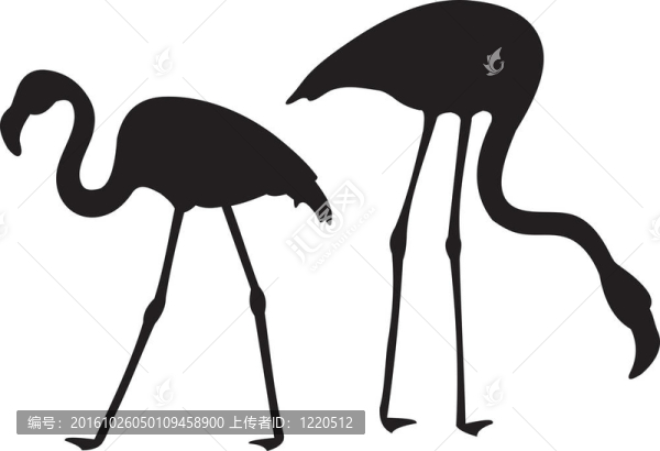 火烈鳥向量