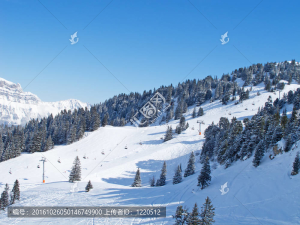 滑雪坡
