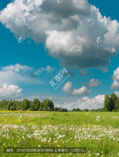 夏天的風景