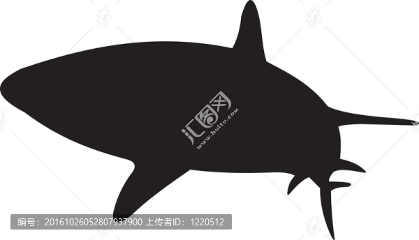 鯊魚(yú)向量