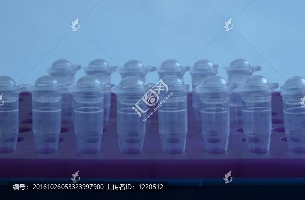 小型實驗室試驗管