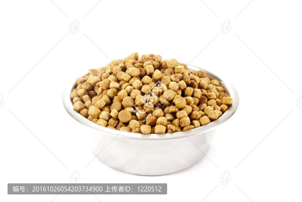狗食