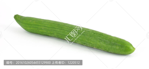歐洲黃瓜長(zhǎng)