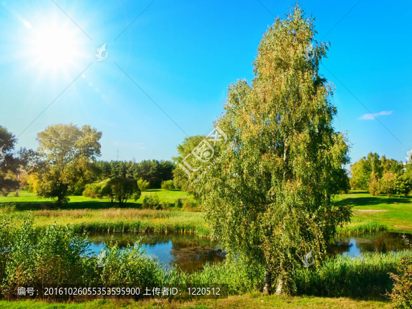 夏天的風(fēng)景