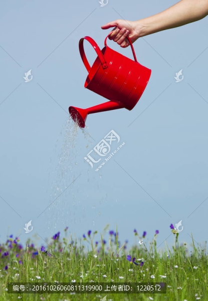 澆花