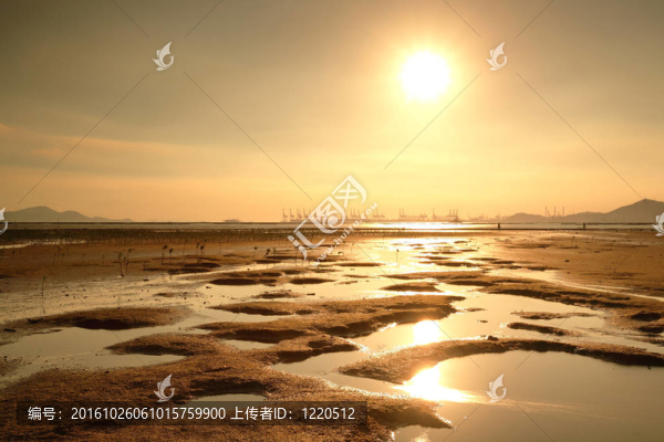 日落海岸