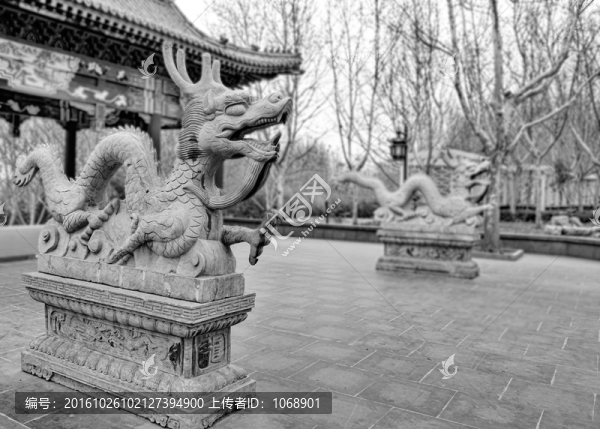 石雕龍