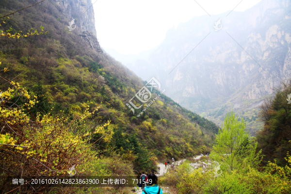 春天的山溝