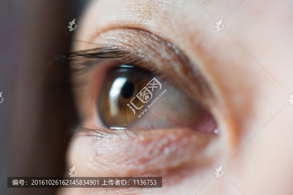 眼睛