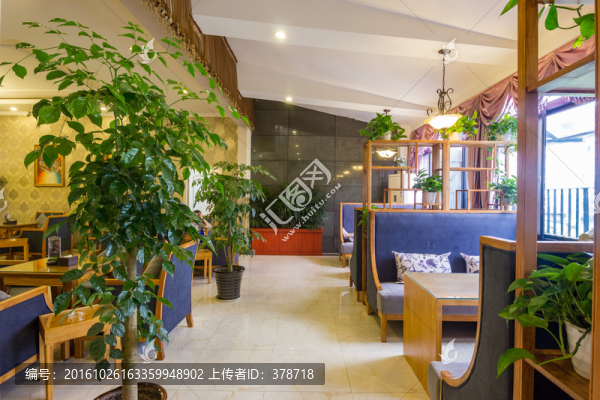 茶樓咖啡廳休閑場所