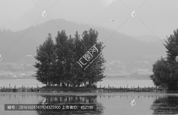 天高任鳥(niǎo)飛