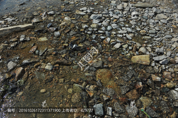 清水,,山泉