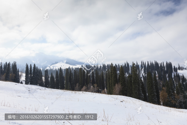 雪山