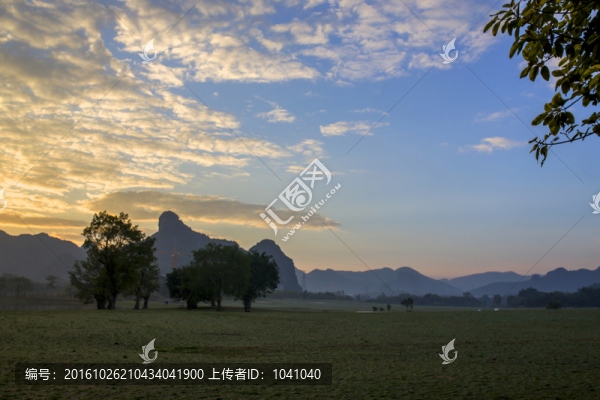 花花世界風(fēng)光