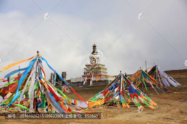 大冬樹(shù)山埡口,高原,經(jīng)番,青海