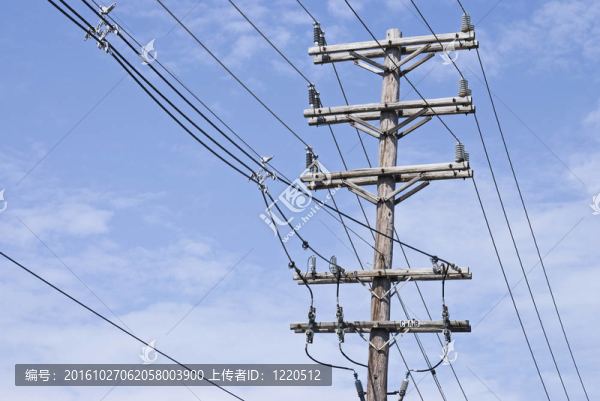 電源線