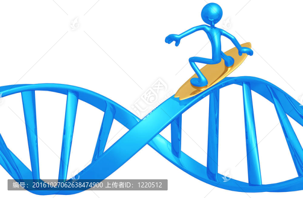 沖浪的DNA